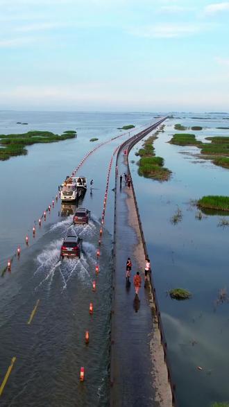 江西#江西九江#我的航拍时刻 沙河路通往八里湖方向 一条鲜花盛开的
