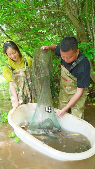 户外抓鱼 - 小飞哥 - 抖音